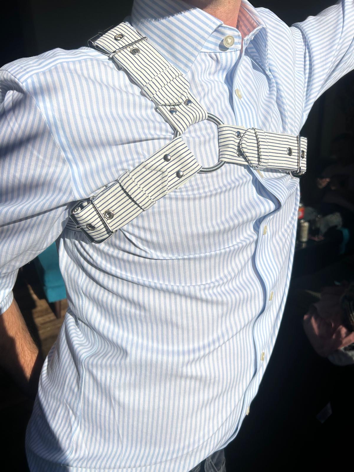Pinstripe Y harness worn over a blue striped shirt, arm raised