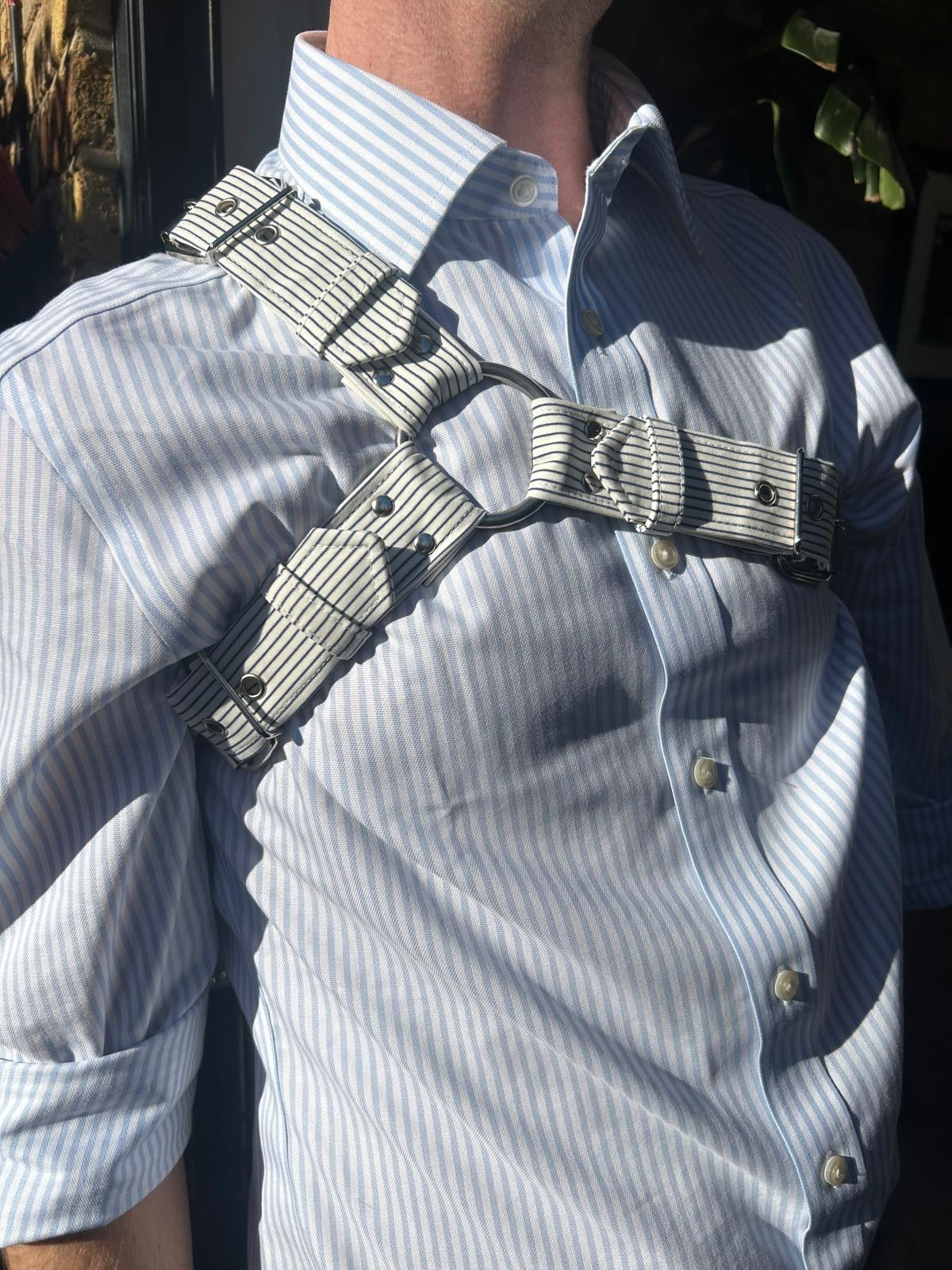Navy pinstripe Y harness worn over a blue striped shirt